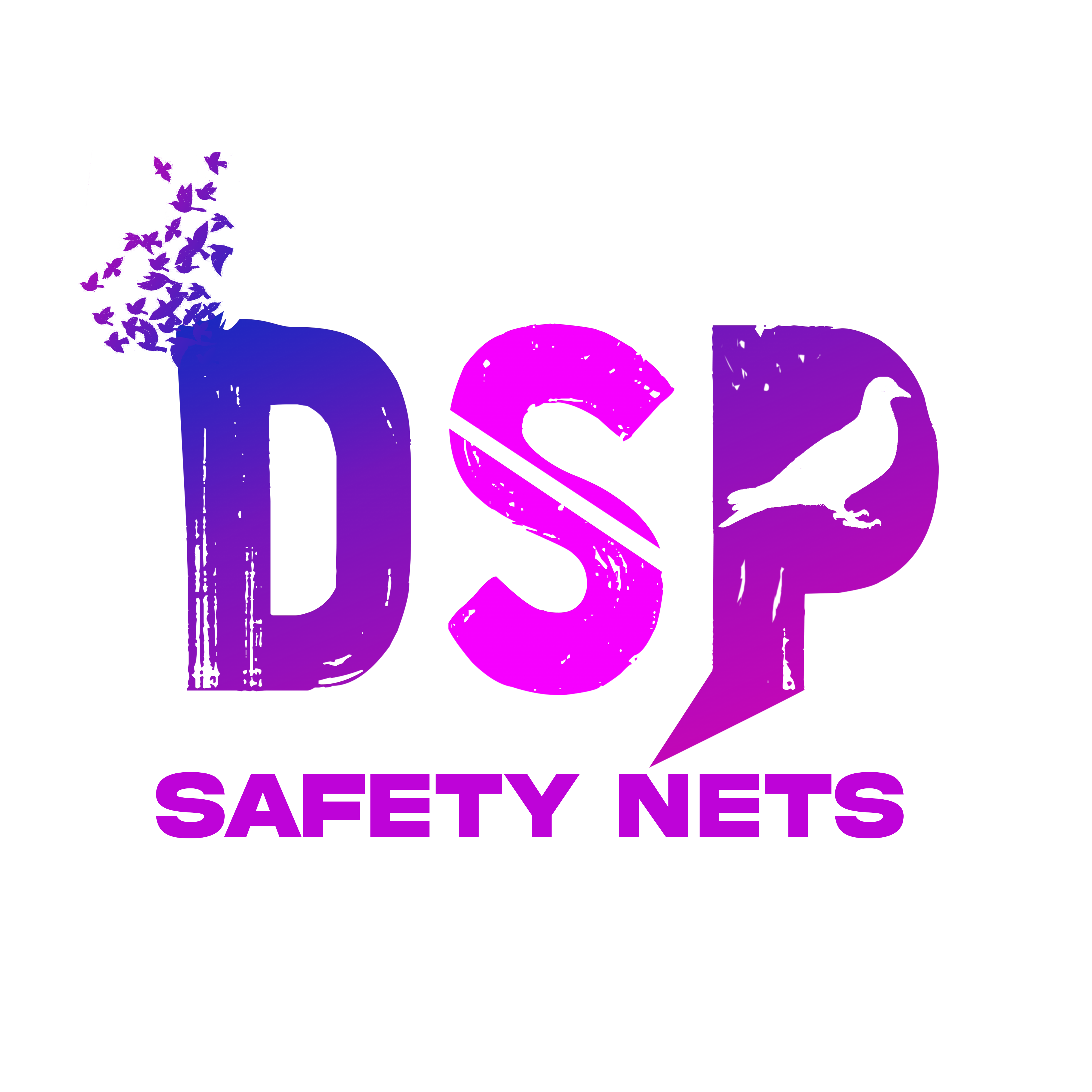 DSP Safety Nets Logo